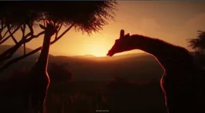 Planet zoo