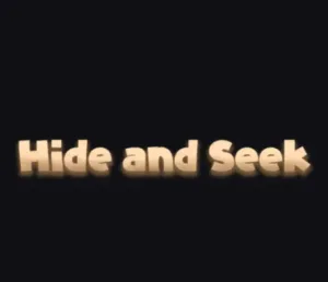 Hide and Seek